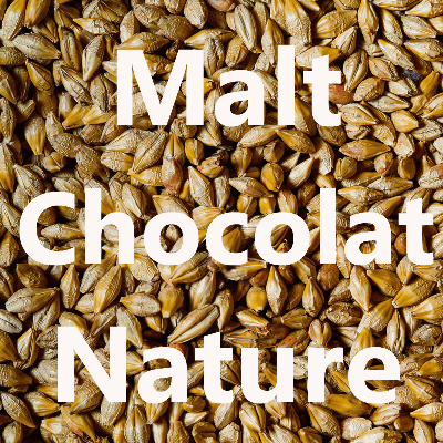 Malt en grains Malt Chocolat Nature
